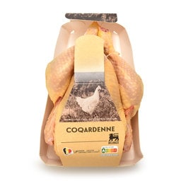 Poulet maïs | Coq Ardenne