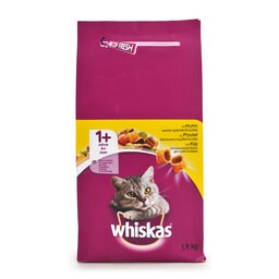 Aliment chat | Poulet