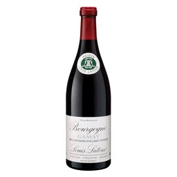 Bourgogne Gamay Latour 2020 Rood