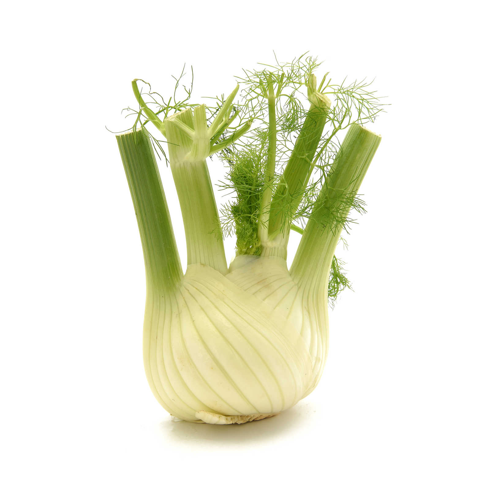 Delhaize