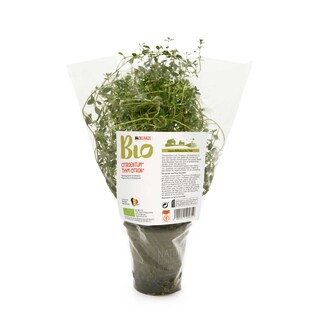 Delhaize | Bio | Thym citron bio 