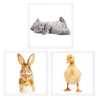 Mistral Home | Shaped Coussin Animaux 