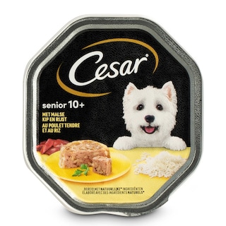 Cesar