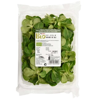 Delhaize | Bio | Veldsla | Schaal | Bio 