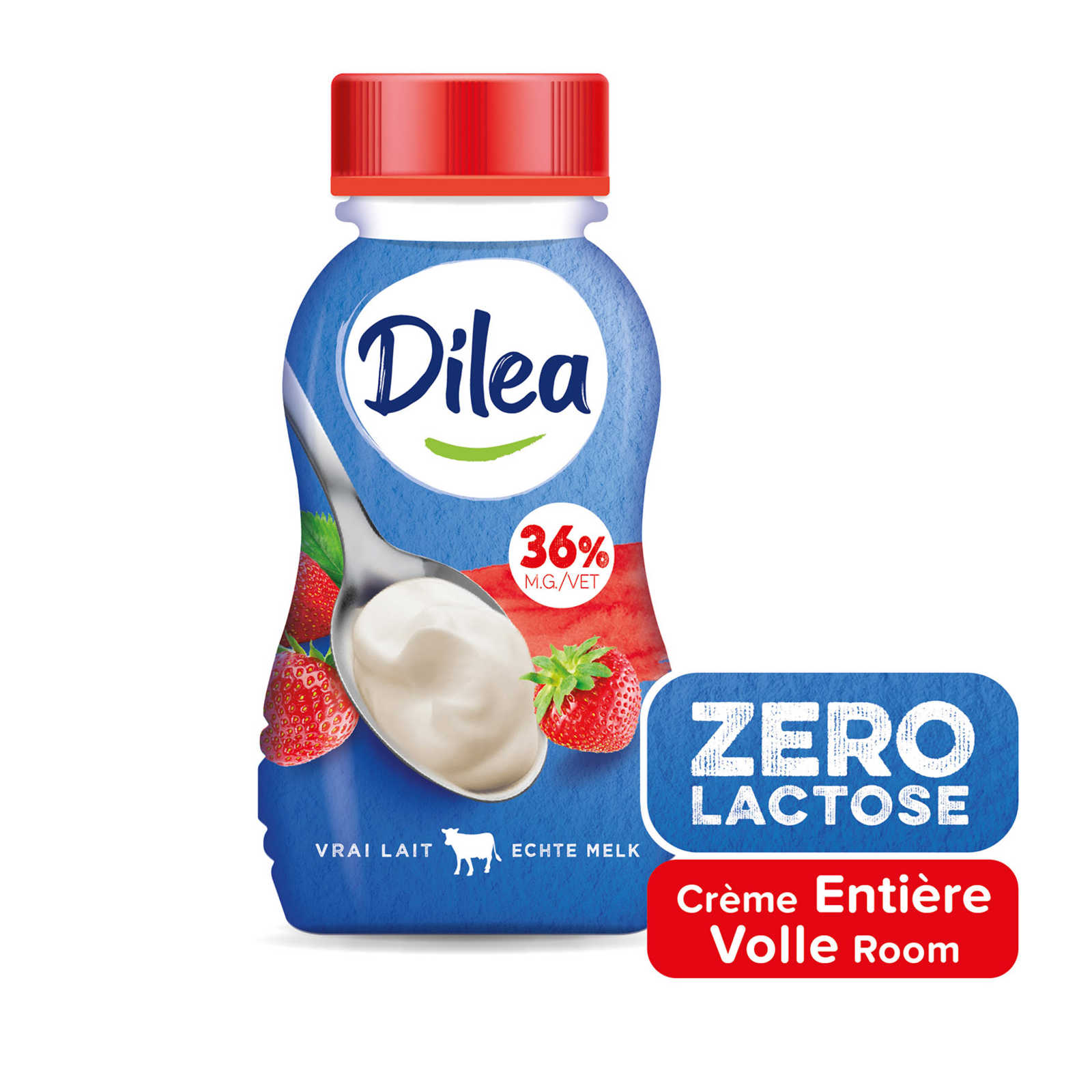 Dilea