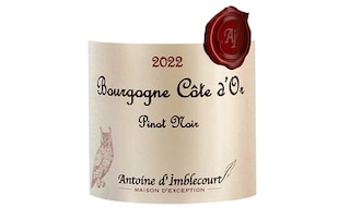 Antoine D'Imblecourt | Bourgogne Cote d'Or | 2022 