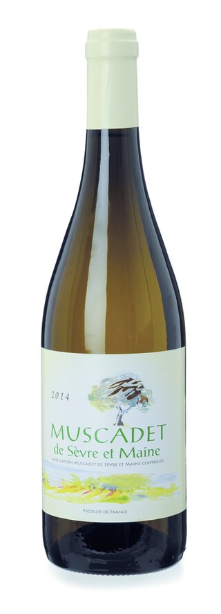 France - Frankrijk | Loire | Muscadet de Sèvre-et-Maine 