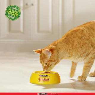Friskies | Purina | Kattenvoeding | Adult| Kip & Groenten 
