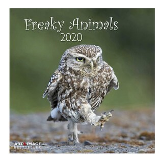 Te Neues - Pok Editions | Calendrier | Animaux Bizares | 2021 