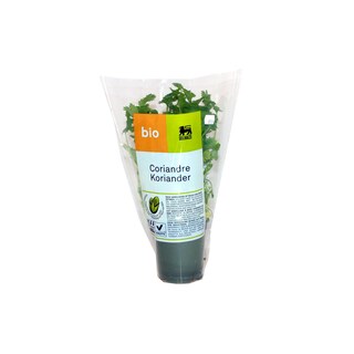 Delhaize | Bio | Coriandre | Pot | Bio 
