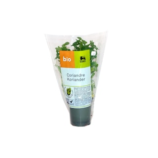 Delhaize | Bio | Koriander | Pot | Bio 