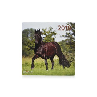 Te Neues - Pok Editions | Kalender | Paard | 2019 | 30 x 30 cm 