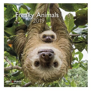 Te Neues - Pok Editions | Calendrier | Freaky animals | 2019 