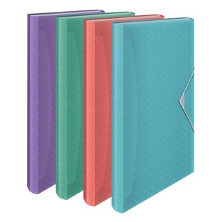 Esselte | Breeze | farde projet | couleur assortie 1 pc