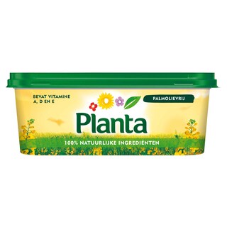 Planta