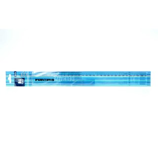 Delhaize | Liniaal | 30cm 