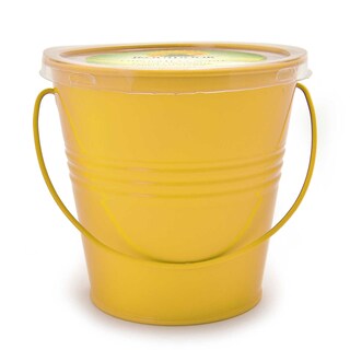 Delhaize | Bougies à la citronnelle 