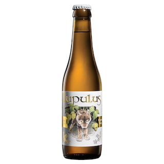Lupulus | Bière blonde | 8,5% alc 