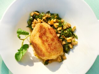 Kroketten van mozzarella met olijvensalsa