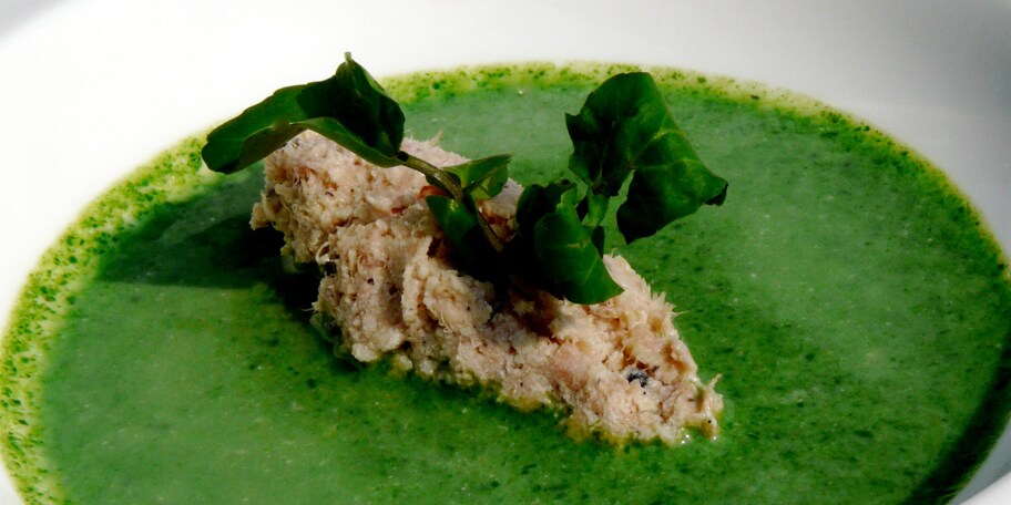 Rillettes de saumon et soupe glacée au cresson