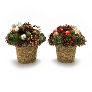 Delhaize | Pot de Fleur | Pomme de Pin 