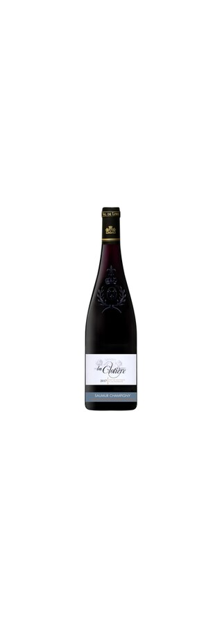 France - Frankrijk | Loire - Saumur Champigny | Saumur Champigny La Clotière 2017 