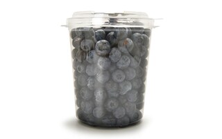 Delhaize | Blauwe bosbessen | Pot 