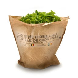 Delhaize | Groene eikenbladsla | Kluit 