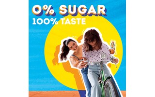 Lipton | Ice Tea | Non pétillant | Pêche | Sans sucre 6 x 1,5 l