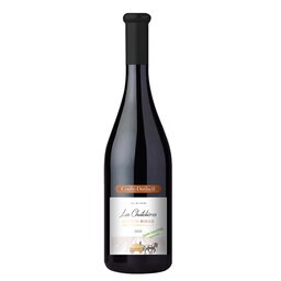 France - Loire | Chinon Chatelière Sans Sulfite 2020 Rood 