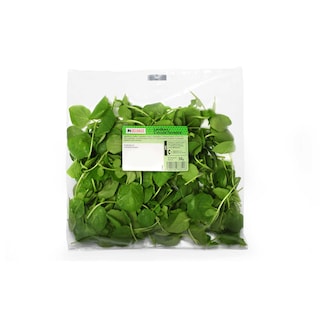 Delhaize | Cresson Terrestre 