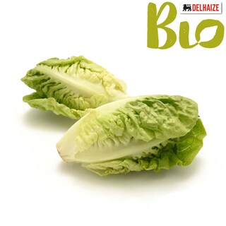 Delhaize | Bio | Litlle gem 