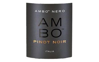 Ambo | Nero | Pinot Nero 