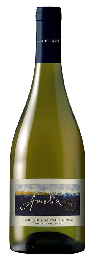 Chile | Limari Valley | Amelia Chardonnay 2018 Wit 