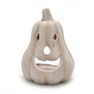 Delhaize | Witte Pompoen Pakket 14.3cm 