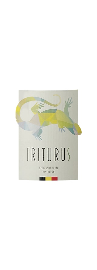 Triturus | 2023 
