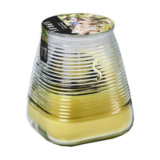 Spaas | Bougie Jardin | Lemon Breeze | Cintre | 45h 