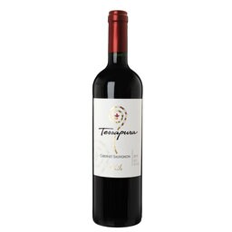 Chili | Central Valley | Terrapura Cabernet Sauvignon Rouge 