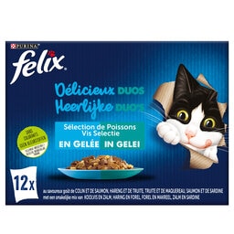 Aliment chat | Gelée | Mix poisson