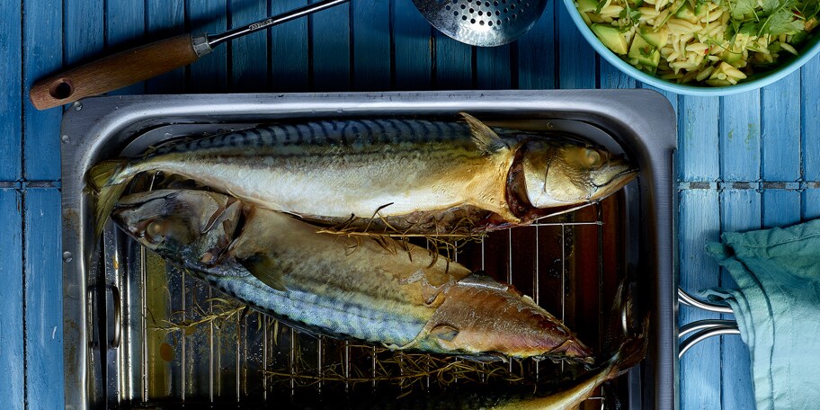 Gerookte makreel met Griekse pastasalade, avocado, limoen en koriander