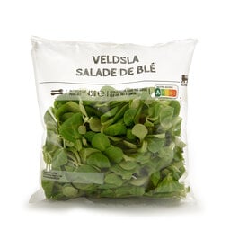 Salade de blé