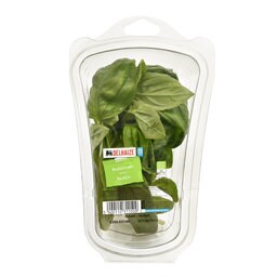 Basilic | Herbes | Emballé