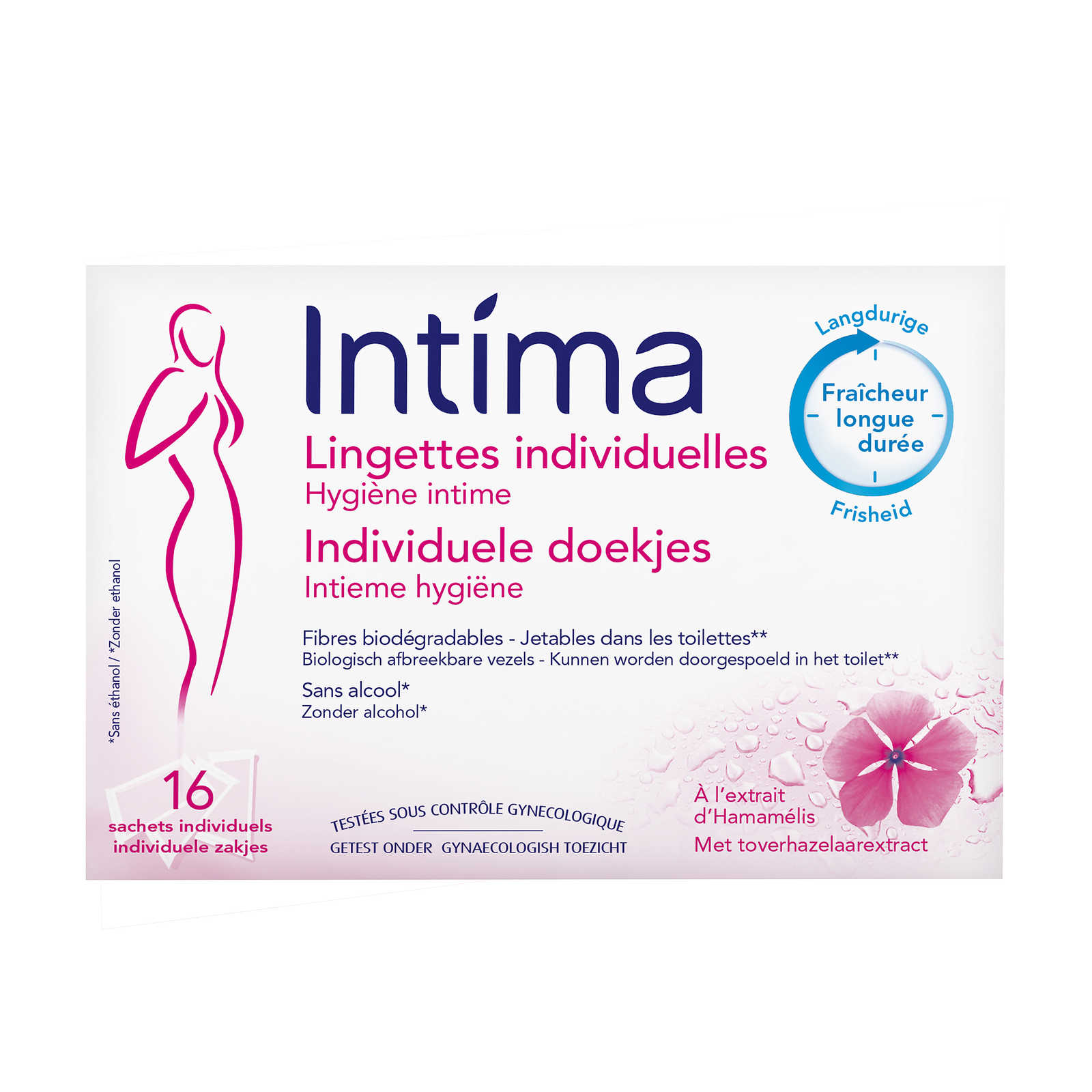 Intima