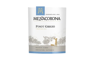 Italie - Italië | Trentino IGT | Mezzacorona Pinot Grigio 2019 Wit 