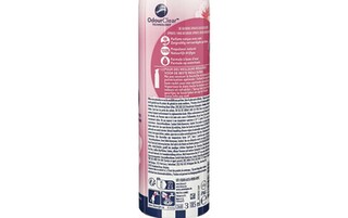 Febreze | Aerosol | Vleugje Bloesem 