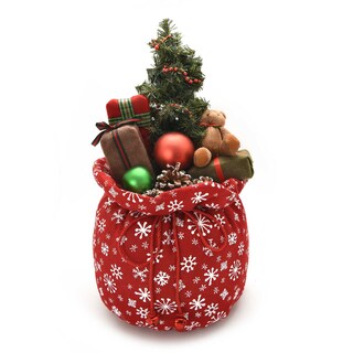 Delhaize | Kerstgeschenk Tas Met Licht 