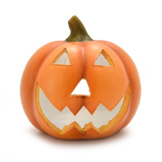 Delhaize | Terracotta Pompoen 11.8cm 