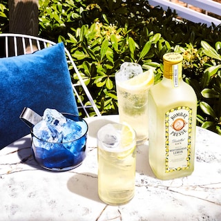 Bombay | Gin | Citron 