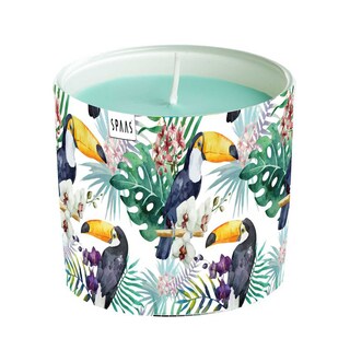 Spaas | Bougie | Verre Colore | Toucan 