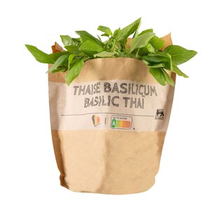 Delhaize | BIO | Bio | Basilicum | Thai 